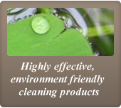green cleaning solutions