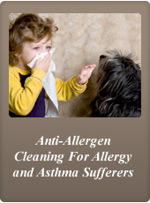 houston Texas carpet anti allergen steam cleaning