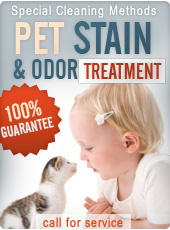 Pet stain and odor removal Houston TX